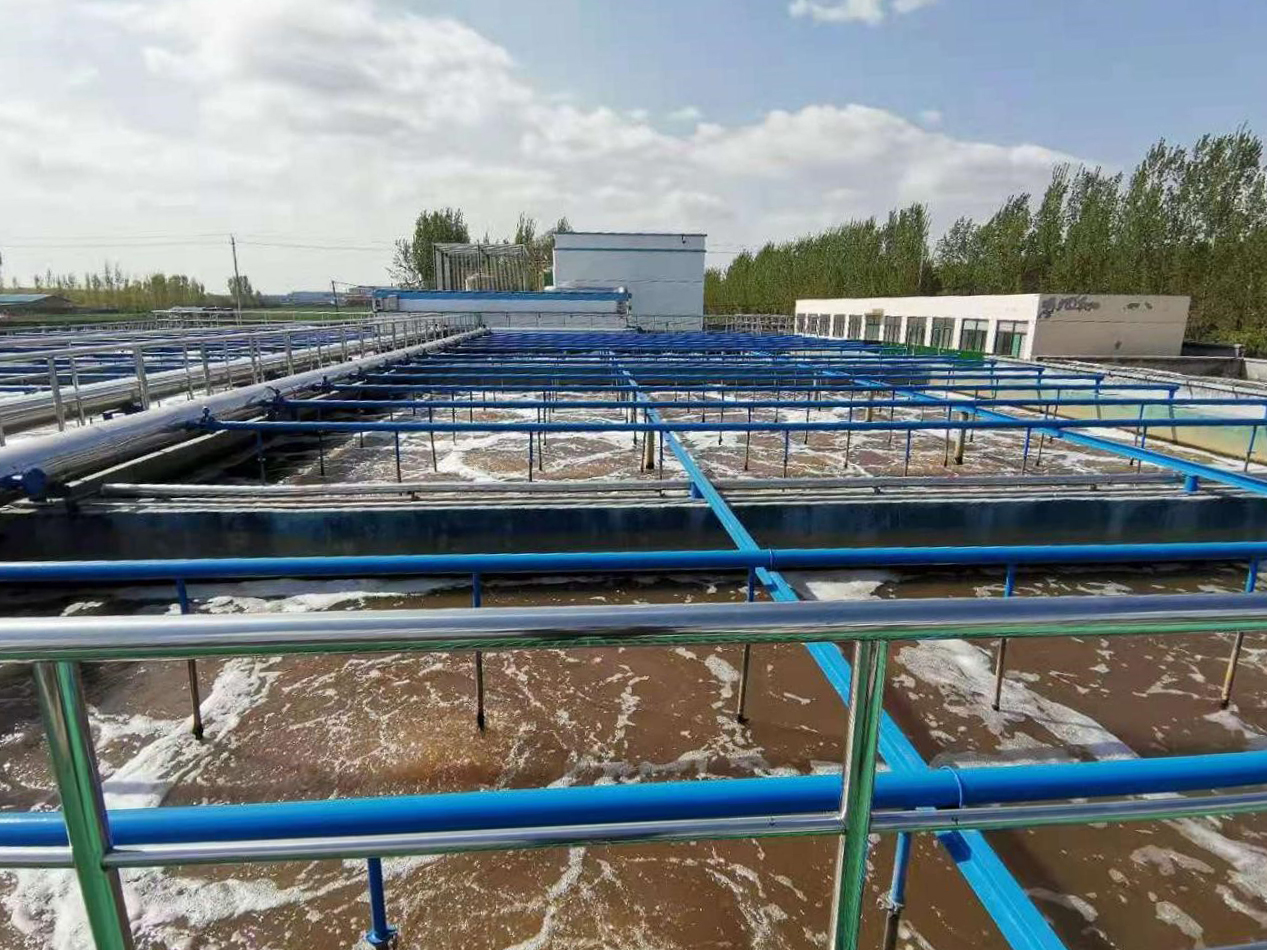 1638927770405020.jpg 2.jpg